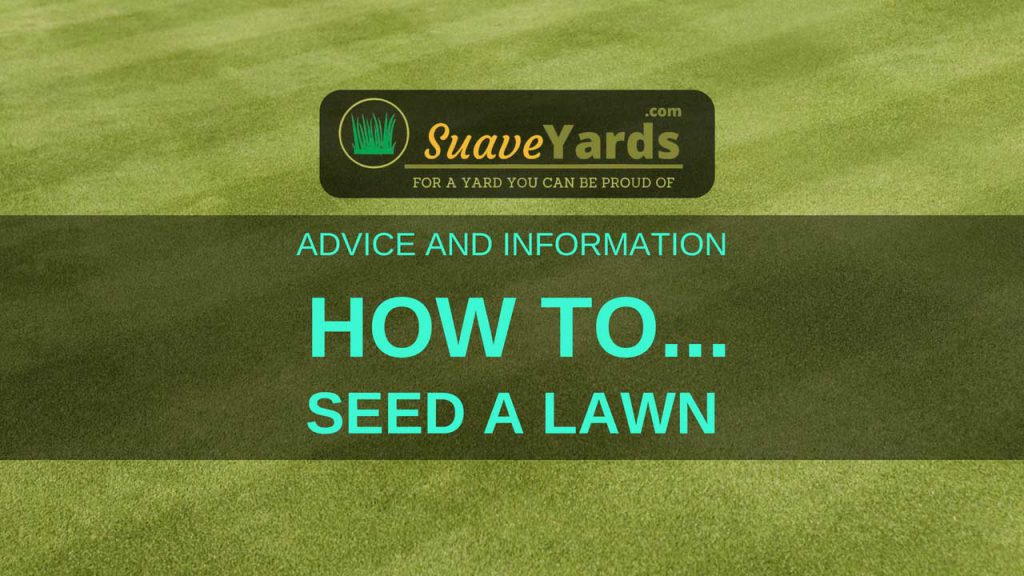 How to seed a lawn header