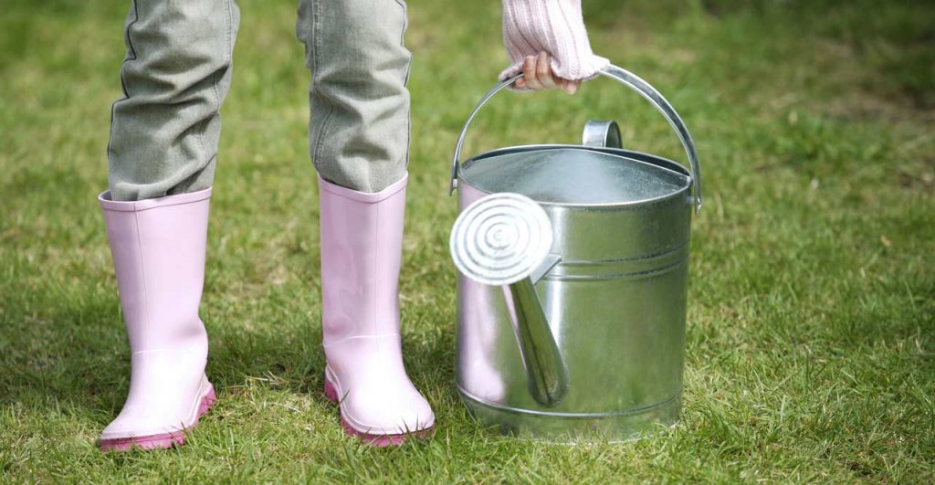 Watering can on the lawn