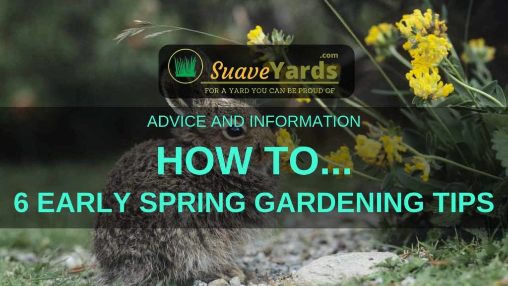 Early Spring Gardening Tips