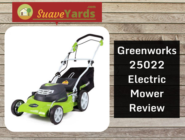 Greenworks-25022-mower