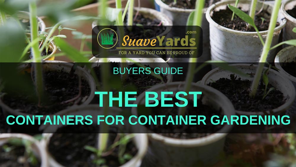 Best Containers for Container Gardening