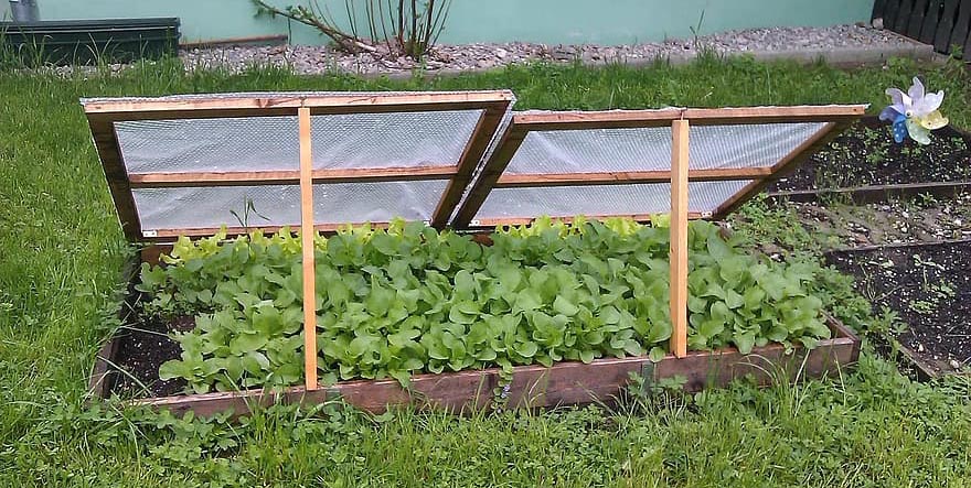 Simple cold frame
