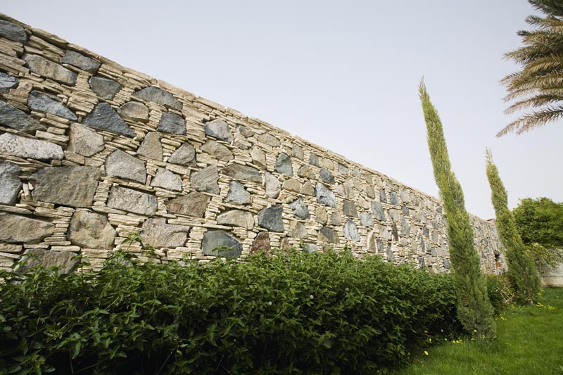 Hedge in Front of Stone Wall