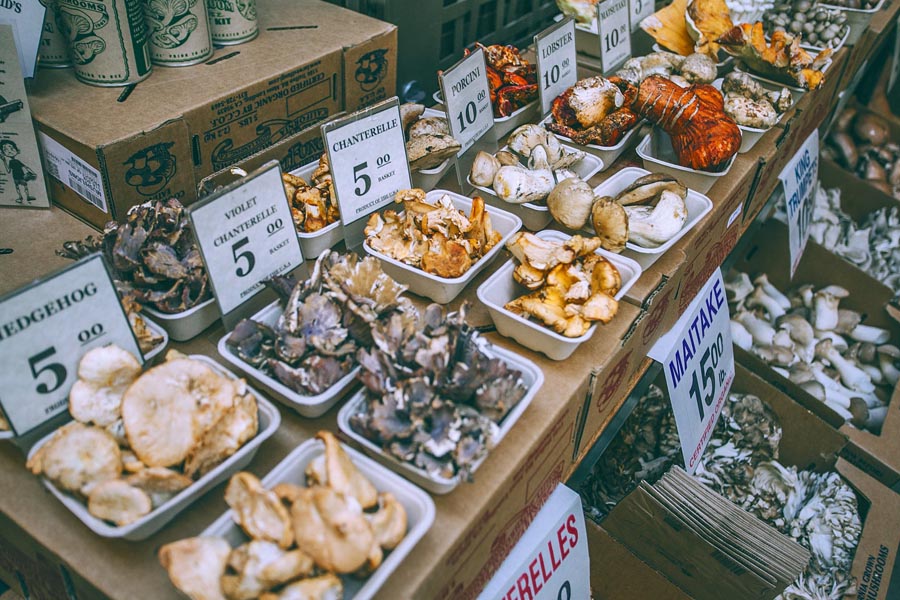 Variety of mushrooms for sale in market