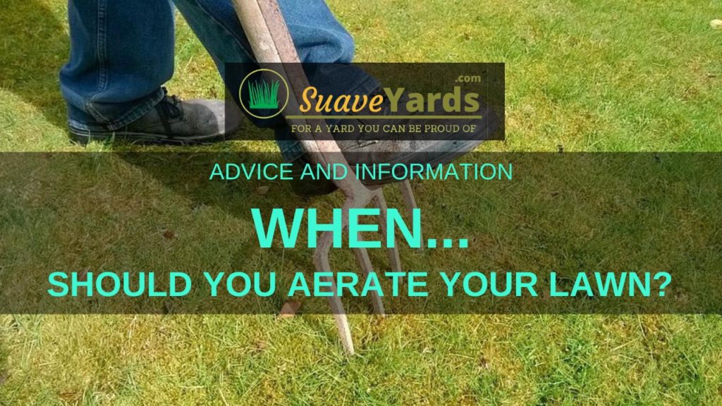 When should you aerate your lawn header