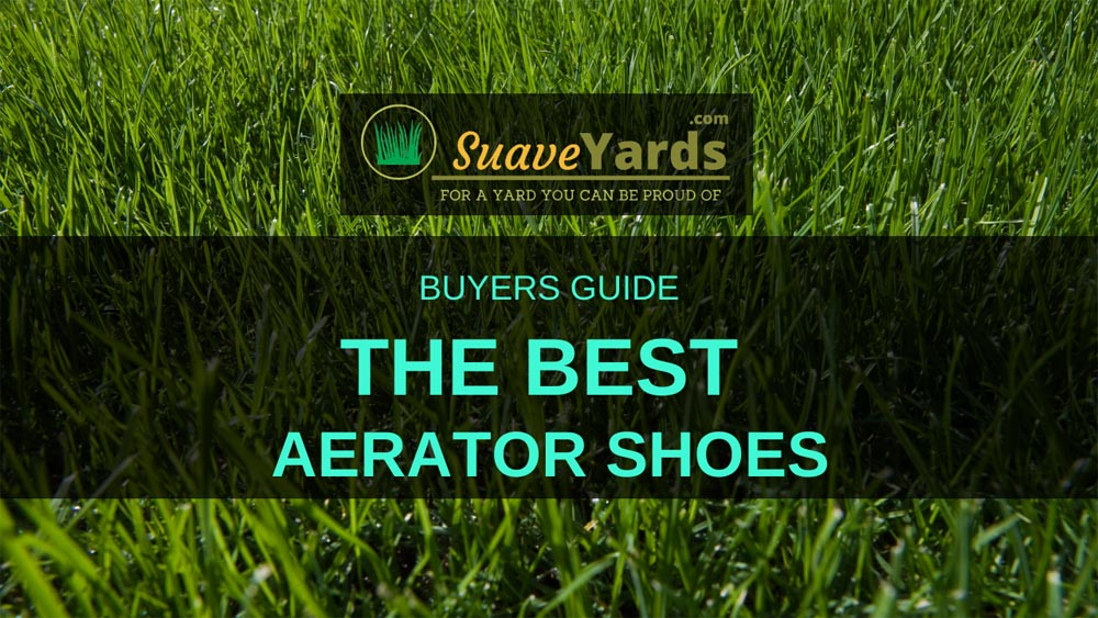 Best lawn aerator shoes header