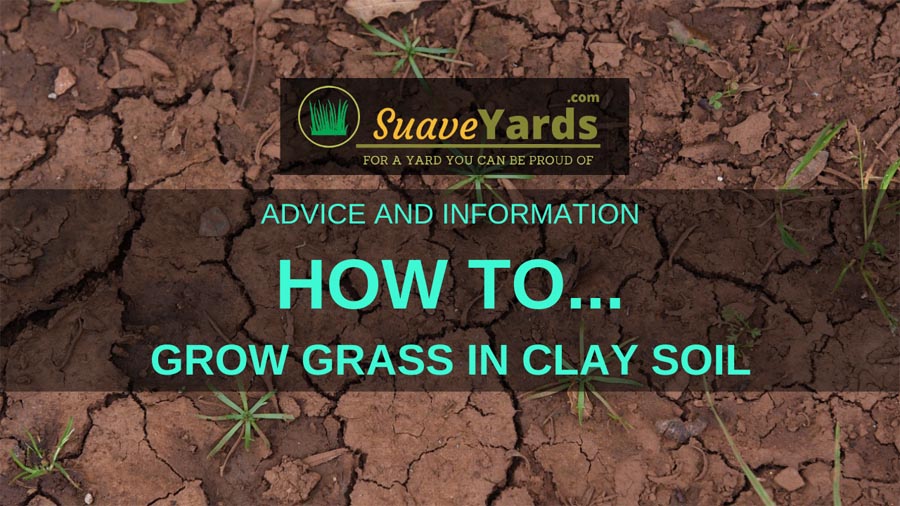 How to grow grass in clay soil