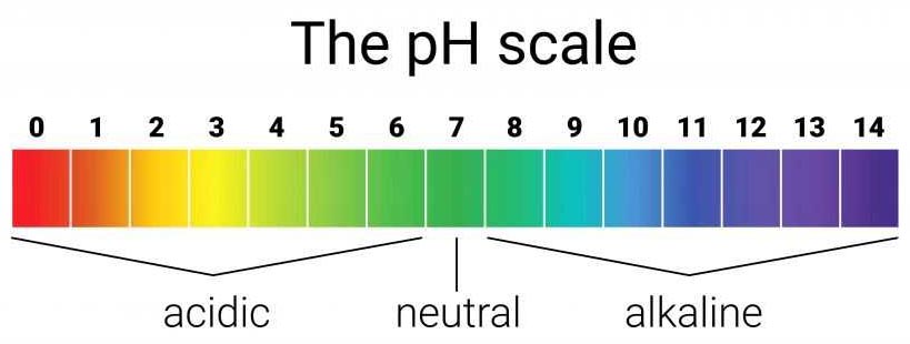 ph Scale