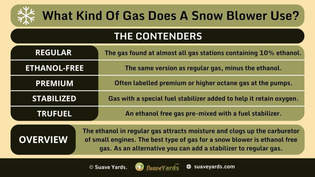 What Kind of Gas Does a Snow Blower Use infographic