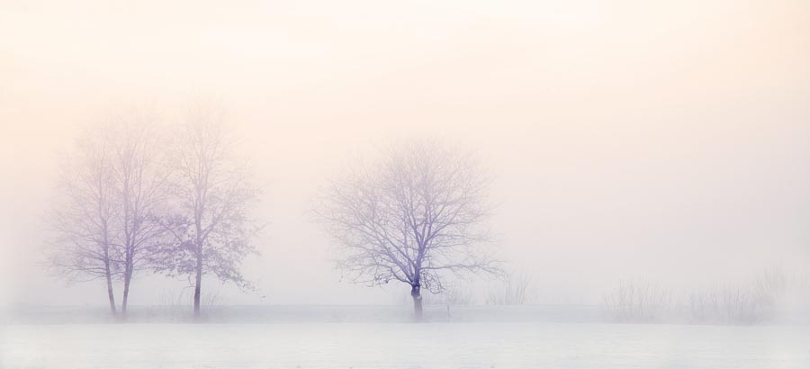 Misty snowy landscape
