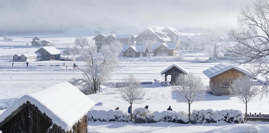 Snow covered houses around a field