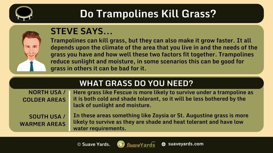 INFOGRAPHIC Answering the Question Do Trampolines Kill Grass