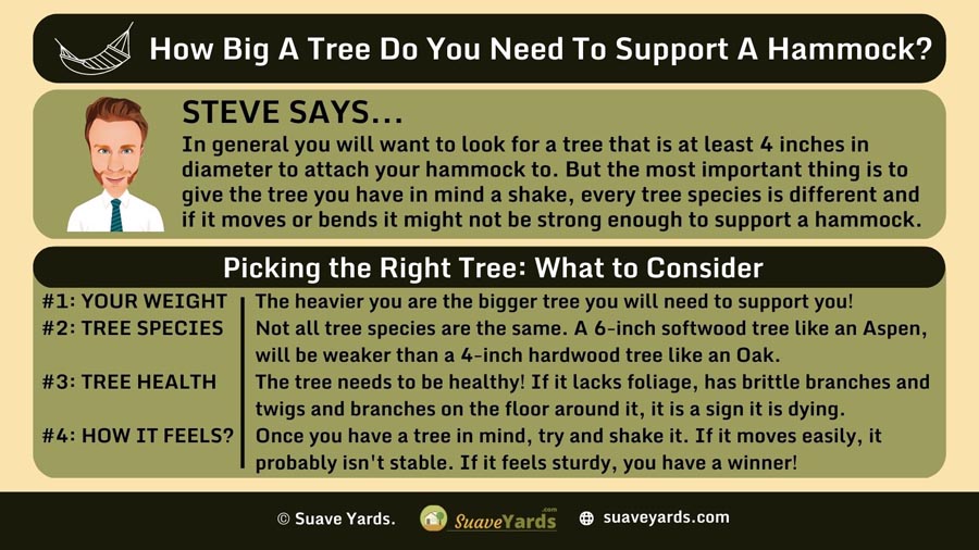 INFOGRAPHIC Answering the Question How Big A Tree Do You Need to Support a Hammock