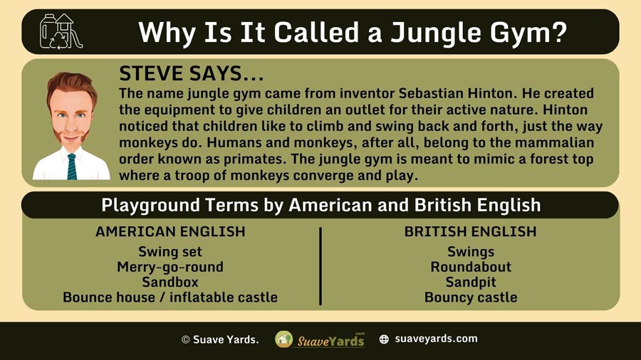 INFOGRAPHIC Answering the Question Why Is It Called a Jungle Gym