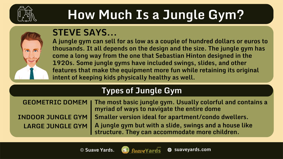 INFOGRAPHIC Answer the question How Much Is a Jungle Gym