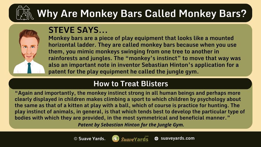 INFOGRAPHIC Answering the Question Why Are Monkey Bars Called Monkey Bars