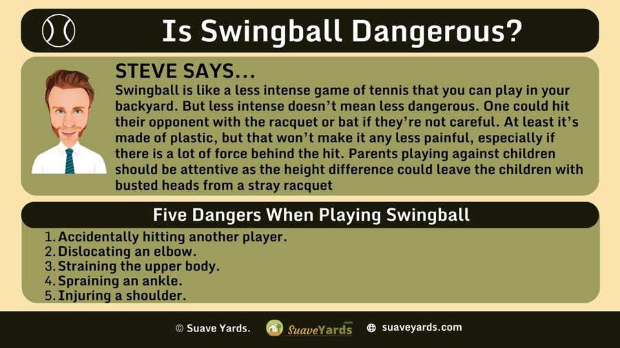 INFOGRAPHIC Answering the Question Is Swingball Dangerous