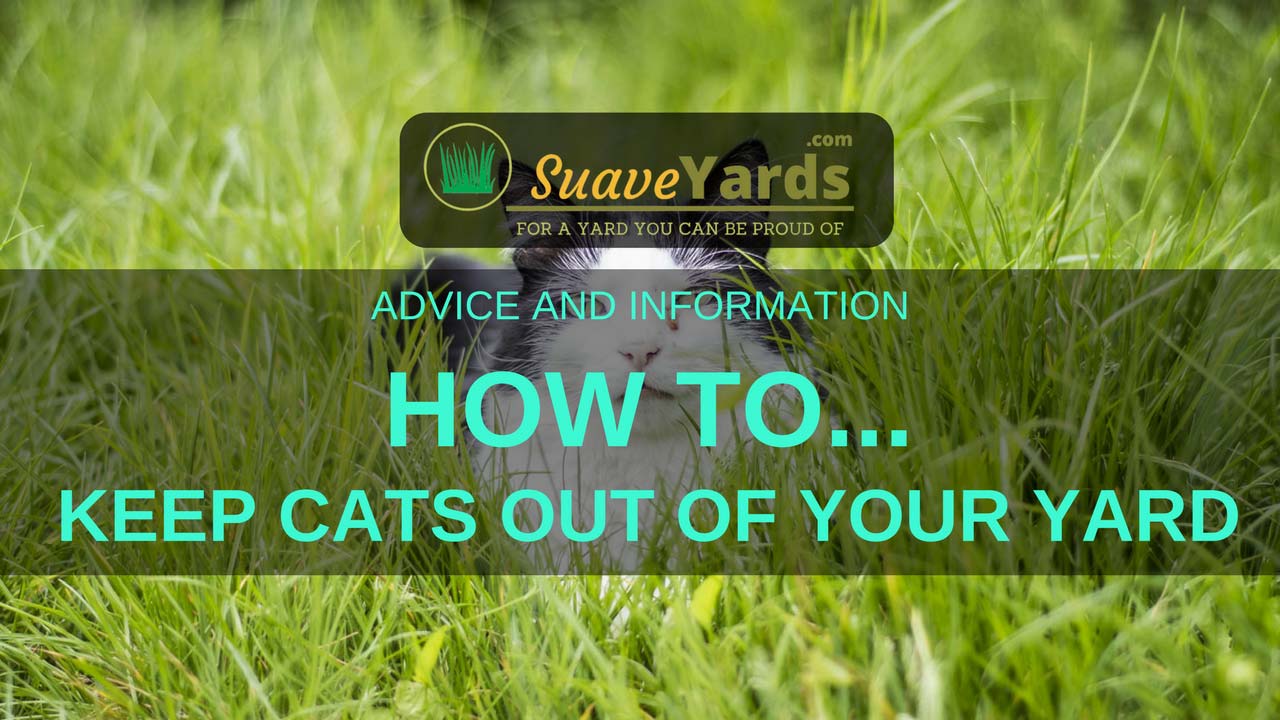 how to keep dogs and cats out of your yard