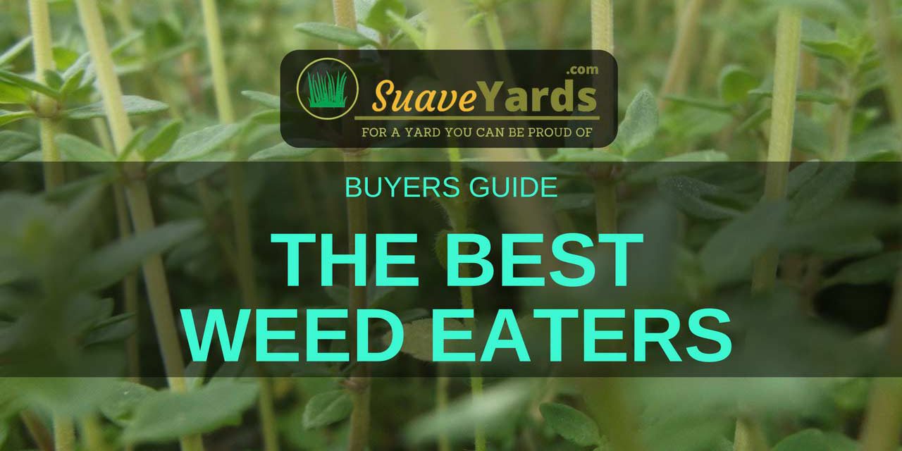 Best Weed Eaters of 2018