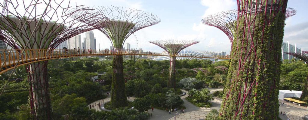 Gardens By The Bay in Singapore