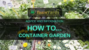 How to container garden header
