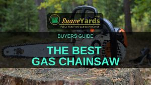 Best Gas Chainsaw