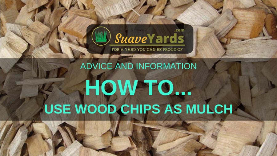 Using Wood Chips as Mulch The Benefits