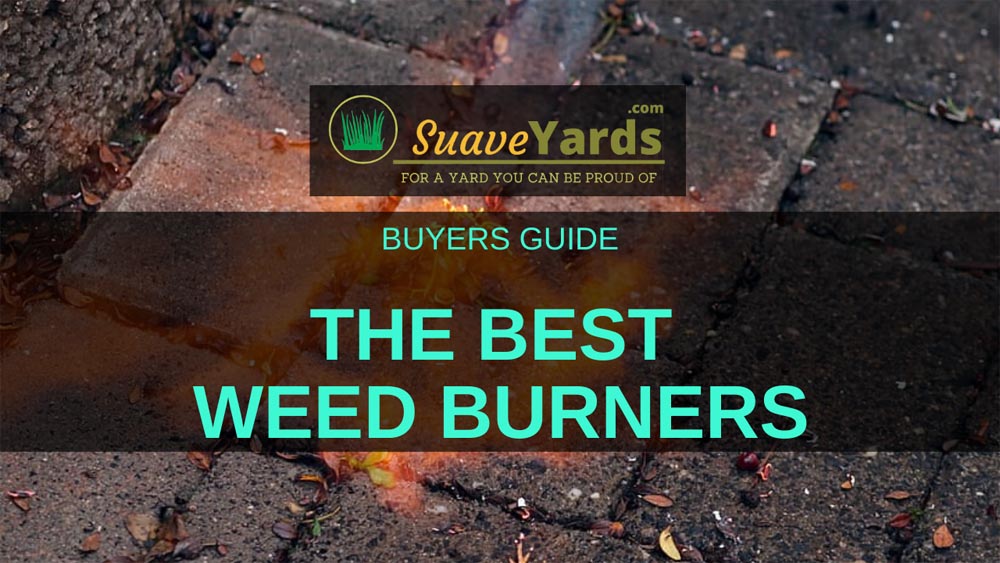 Best Weed Burners header