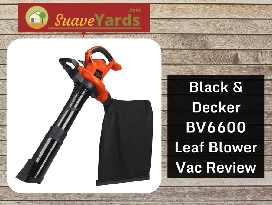 Black & Decker BV6600 Leaf Blower Vac Review: Great Power, Low Noise Level