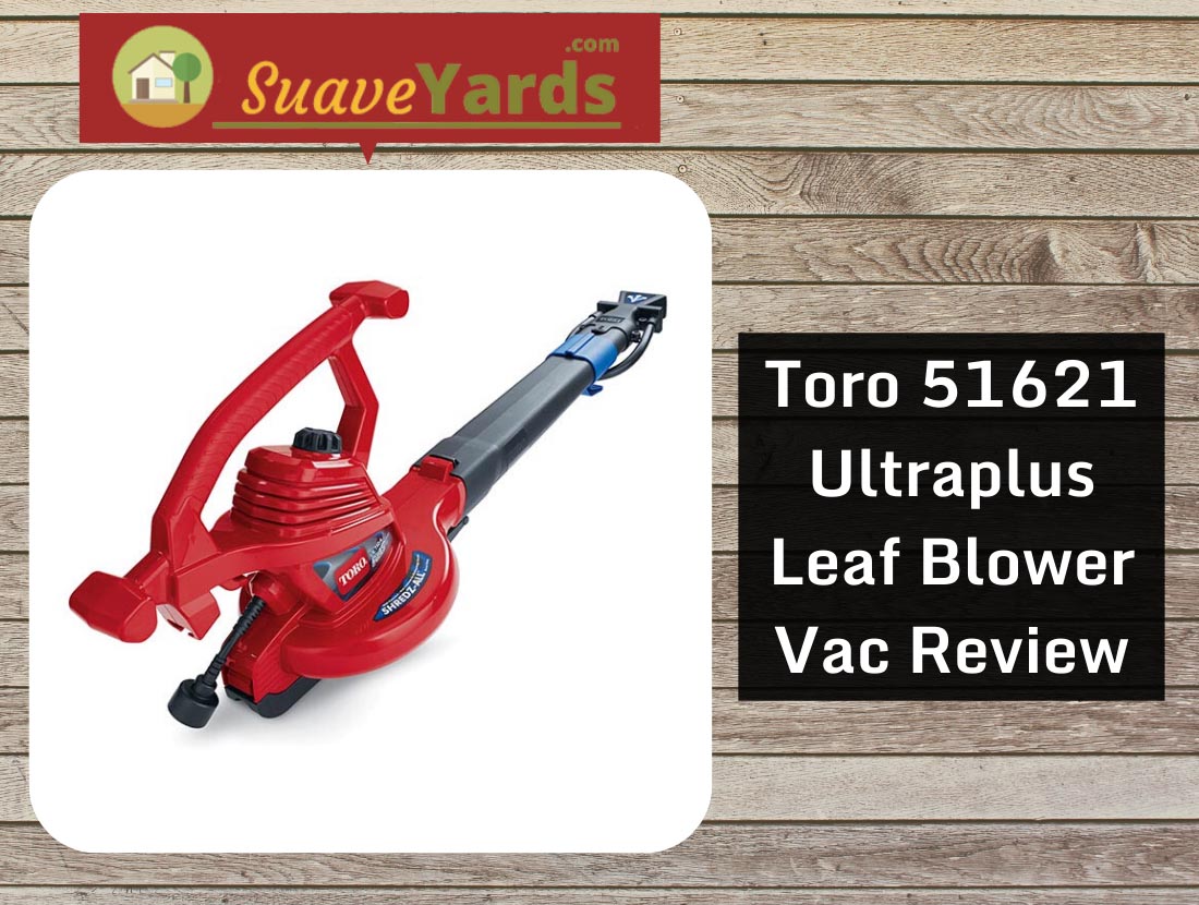 Toro 51621 Ultraplus Leaf Blower Vac Review: Ultra Efficient