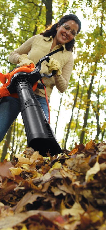 Person using leaf blower