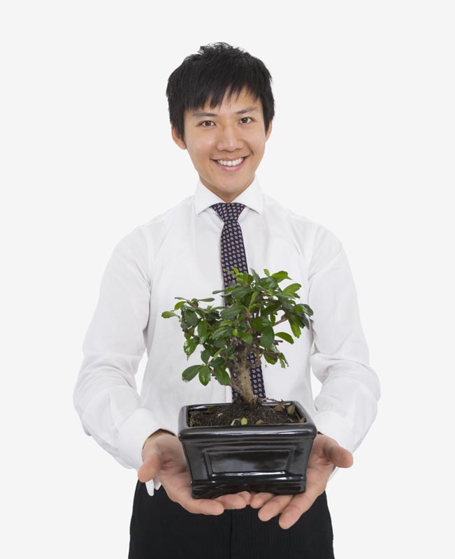 Man holding bonsai tree