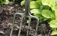 Gardening fork in soil