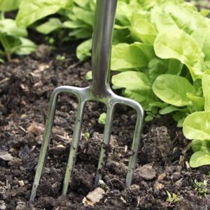 Gardening fork in soil