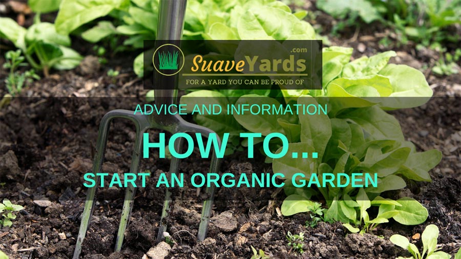 How to start an organic garden