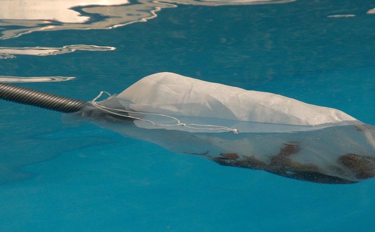 Filter bag in pool