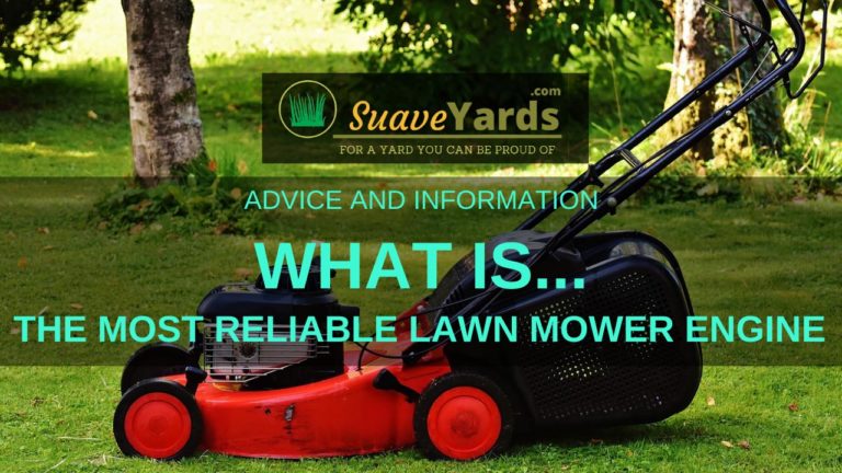 What Is the Most Reliable Lawn Mower Engine? (Revealed)