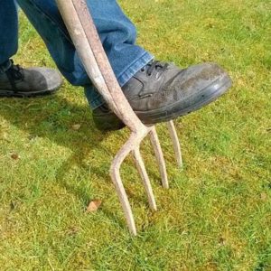 Man with foot on fork digging ground