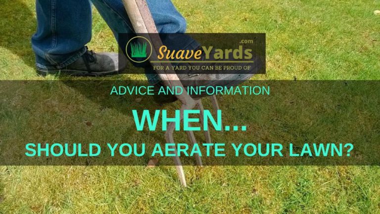 Keeping Your Lawn Healthy When Should You Aerate Your Lawn Revealed   When Should You Aerate Your Lawn 768x432 