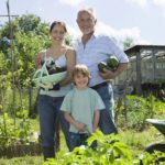 Family with boy holding vegetables in garden, portrait
