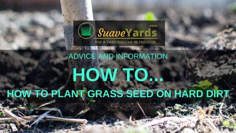 How To Plant Grass Seed On Hard Dirt: Master This Tricky Skill