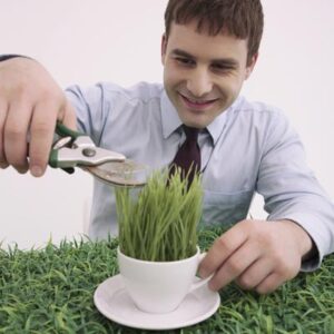 Man cutting plant in cup
