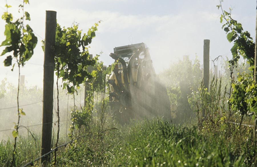 Tractor spraying vineyard with fungicide, Yarra Valley, Victoria, Australia.