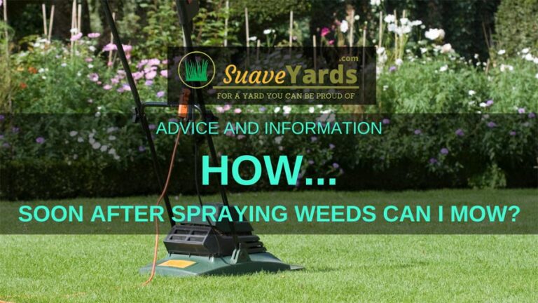 how-soon-after-spraying-weeds-can-i-mow-explained