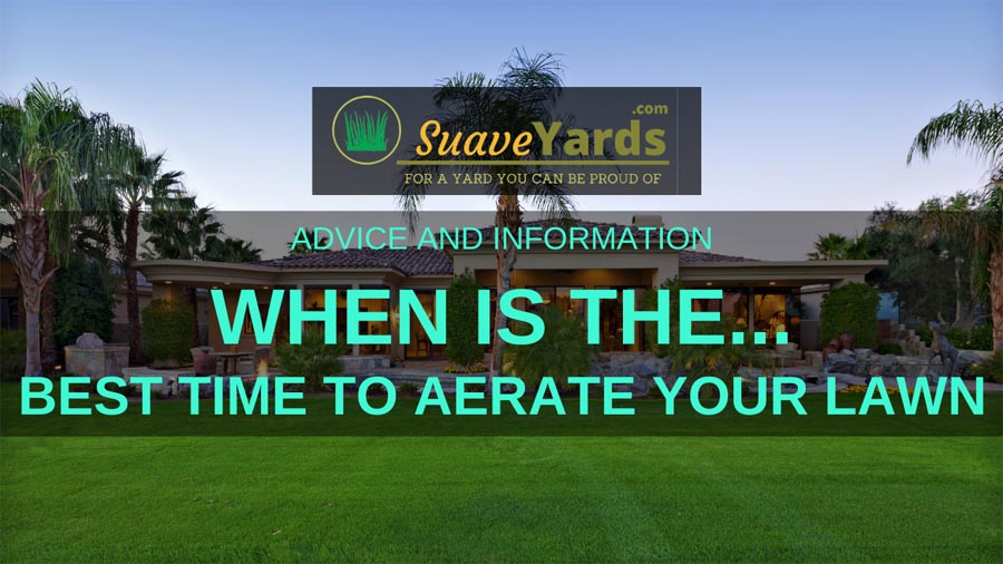 Best time to aerate your lawn