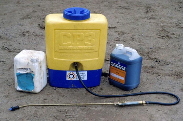 Best Knapsack Sprayers (Explained)