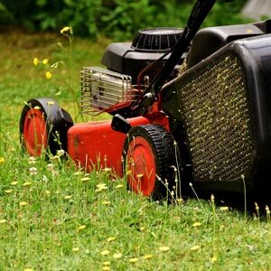Mower cutting grass