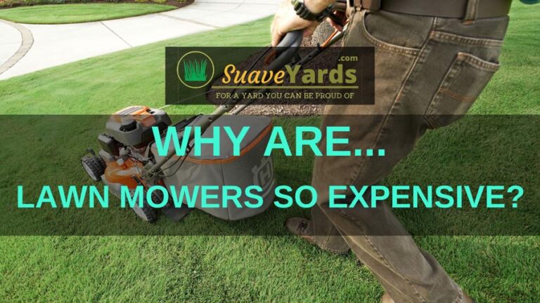 Why Are Lawn Mowers So Expensive Discussed Why Are Lawn Mowers So Expensive Discussed
