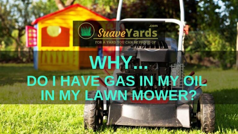 why-do-i-have-gas-in-my-oil-in-my-lawn-mower-solved