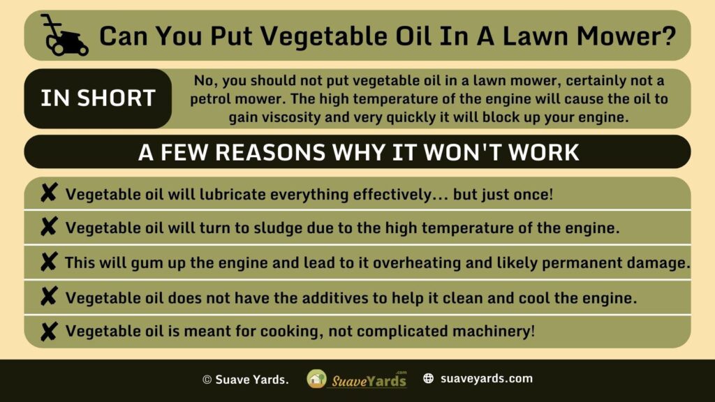 Can You Put Vegetable Oil in a Lawn Mower infographic